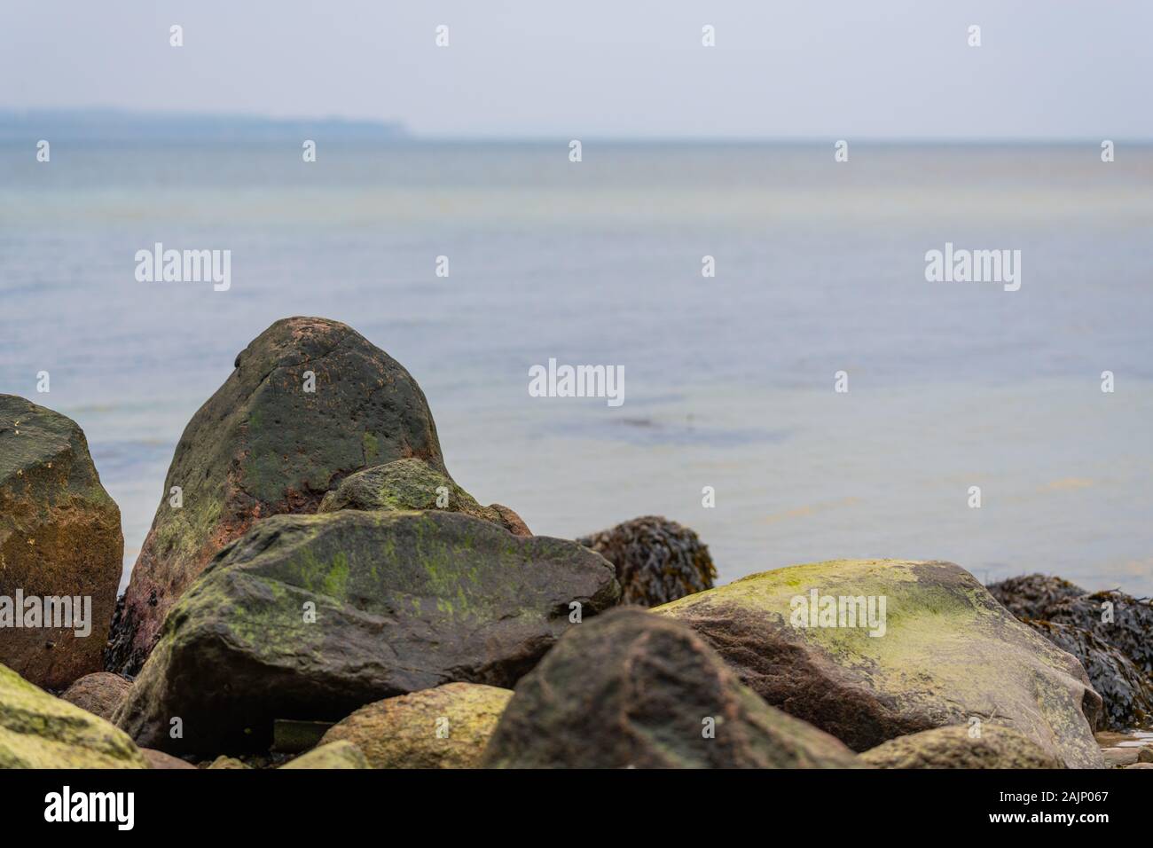 Il y a beaucoup d'algues sur les pierres sur la plage de sable Banque D'Images