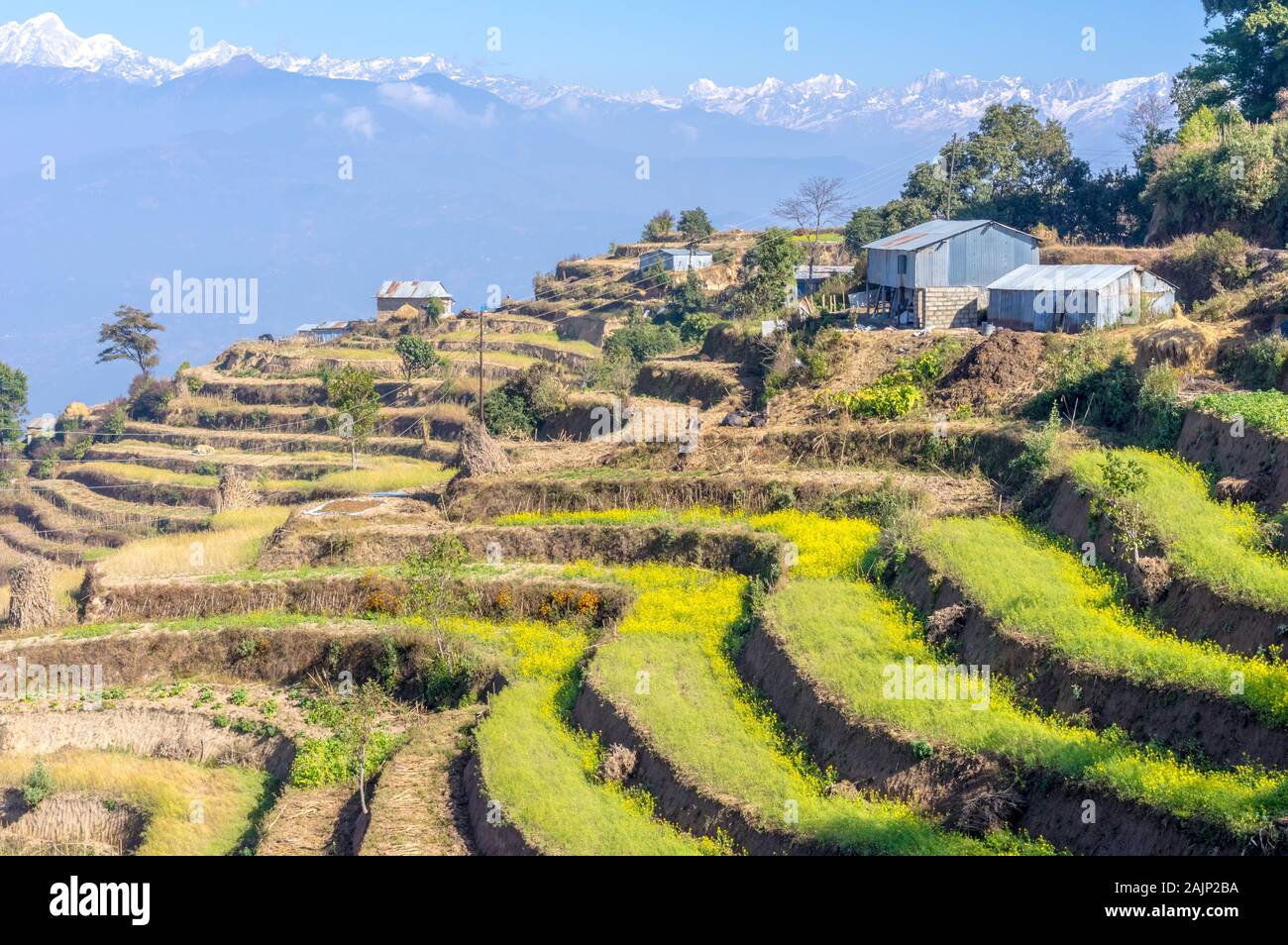 Vues de montagnes derrière terrasse de fermes à Nagarkot, Népal Banque D'Images