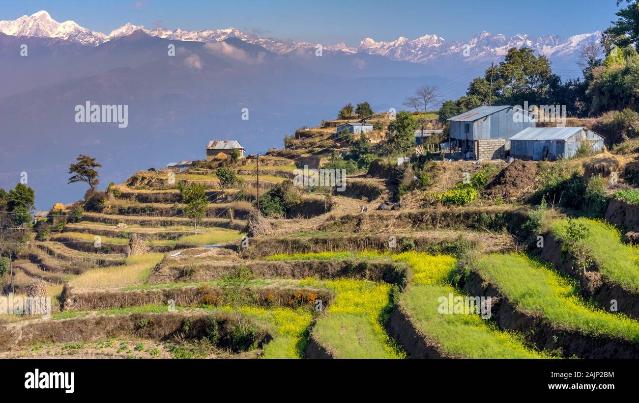 Vues de montagnes derrière terrasse de fermes à Nagarkot, Népal Banque D'Images