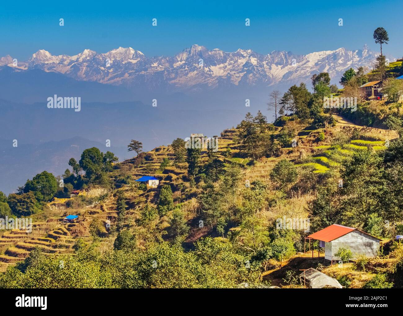 Vues de montagnes derrière terrasse de fermes à Nagarkot, Népal Banque D'Images