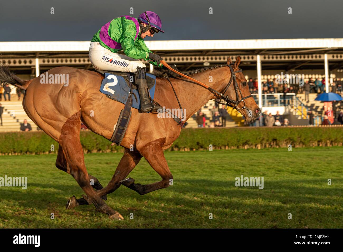 Course bal de gala à Wincanton dans la sixième course pour gagner la course d'Handicap BoyleSports monté par jockey Tom O'Brien et formés par Philip Hobbs Banque D'Images