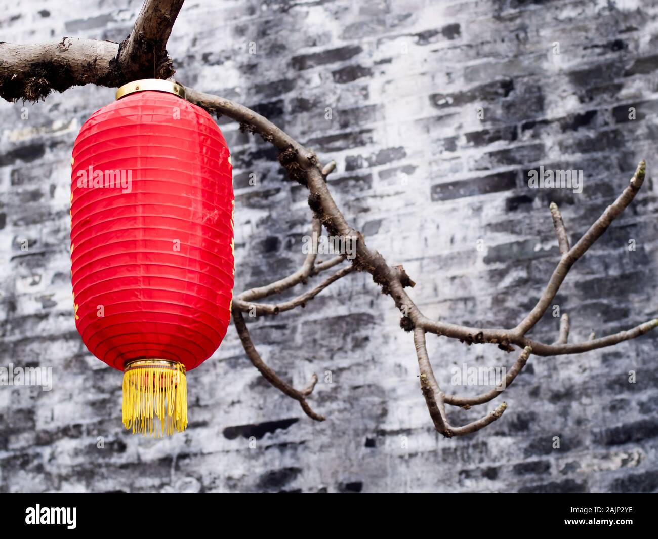 Lanterne chinoise sur les arbres.lanternes chinoises traditionnelles .  papier rouge lanternes, les décorations du Nouvel an chinois Photo Stock -  Alamy