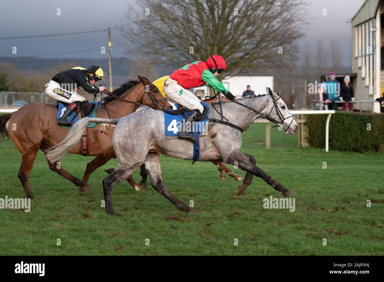 Cheval gris Arriverderci sauter le dernier obstacle et s'exécutant dans pour gagner la course de haies de jeune fille BoyleSports à Wincanton. Monté par Jonjo O'Neill Jr. Banque D'Images