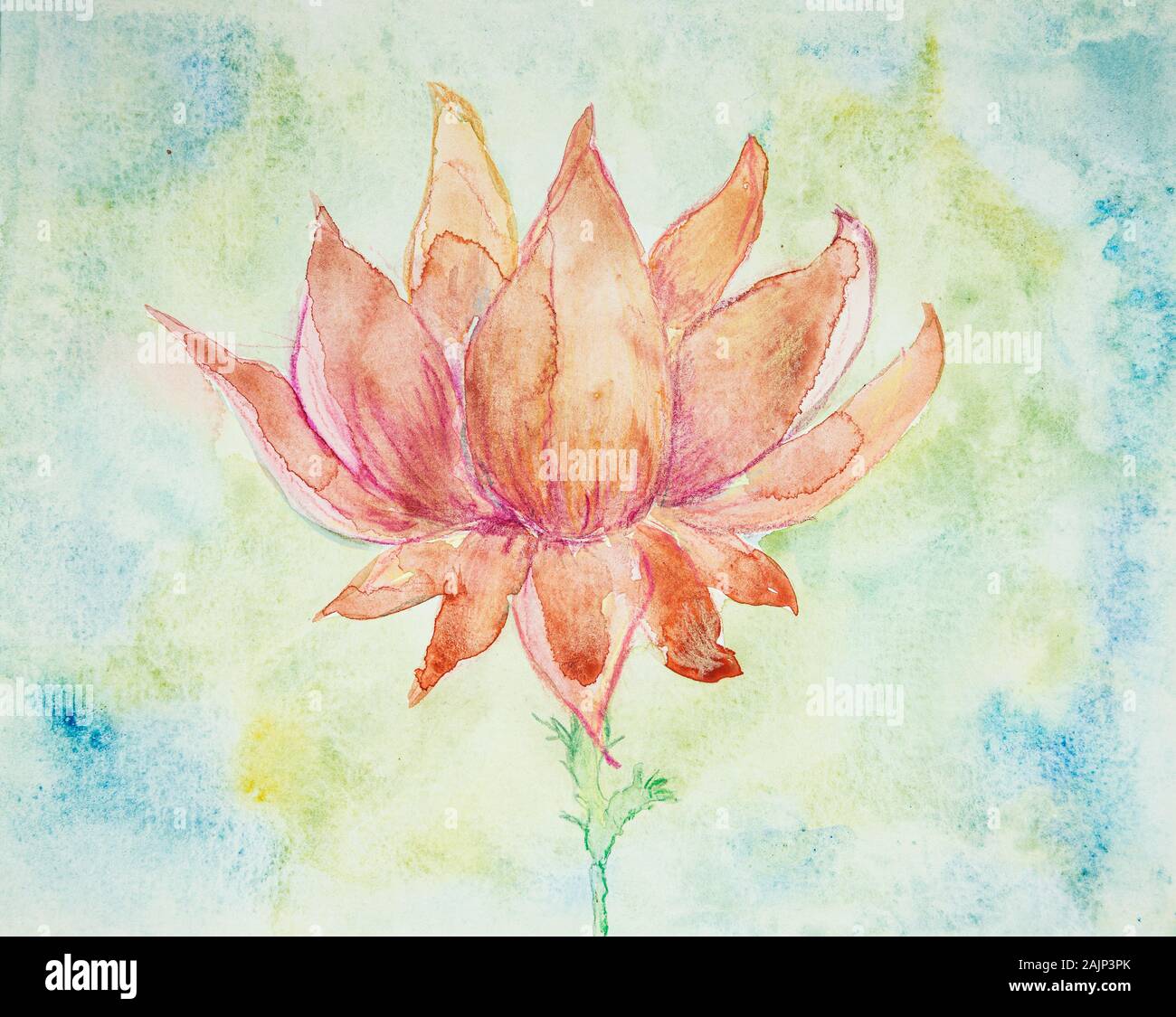 Fleur de lotus rose ensoleillée sur un fond jaune. La technique du badigeonnage près des bords donne un effet de flou en raison de la modification de la rugosité de surface Banque D'Images