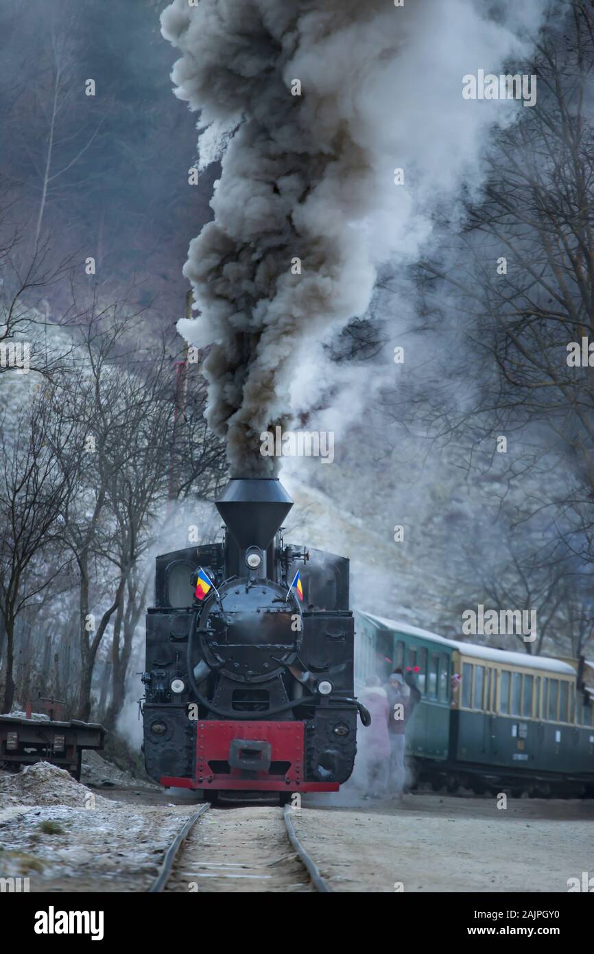 Mocanita, le train à vapeur de Maramures, Roumanie. Banque D'Images