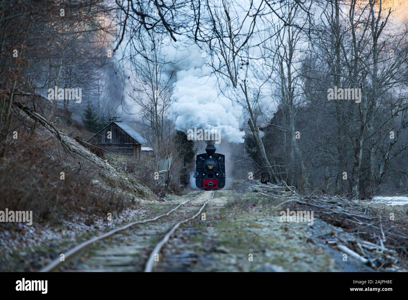 Mocanita, le train à vapeur de Maramures, Roumanie. Banque D'Images