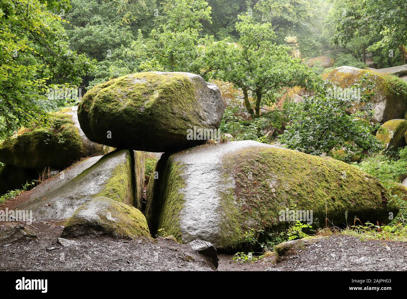 Le chaos de rochers ou le chaos de rochers - fouillis de centaines de grands blocs de forêt à Huelgoat, Bretagne, France Banque D'Images