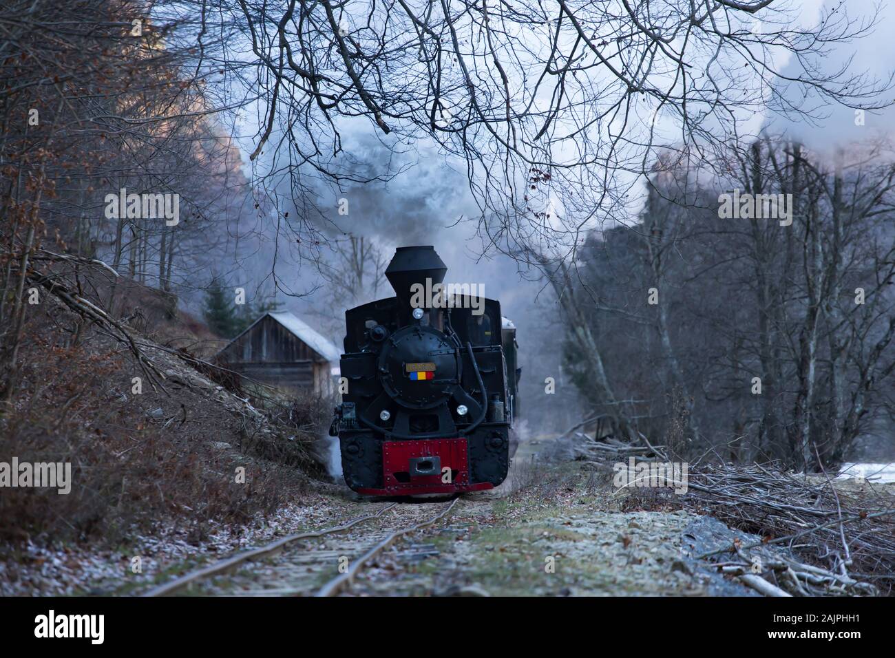 Mocanita, le train à vapeur de Maramures, Roumanie. Banque D'Images