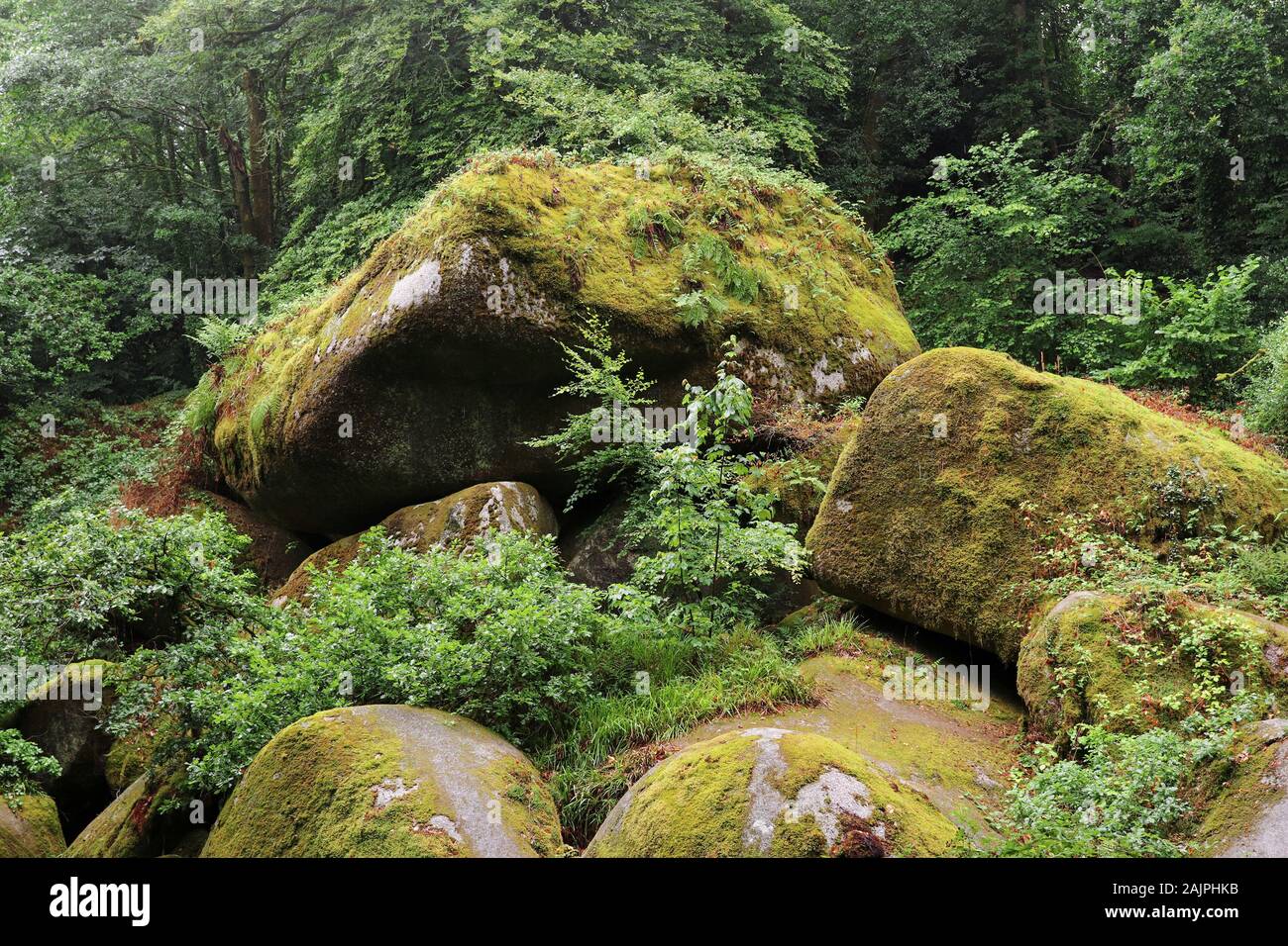 Le chaos de rochers ou le chaos de rochers - fouillis de centaines de grands blocs de forêt à Huelgoat, Bretagne, France Banque D'Images