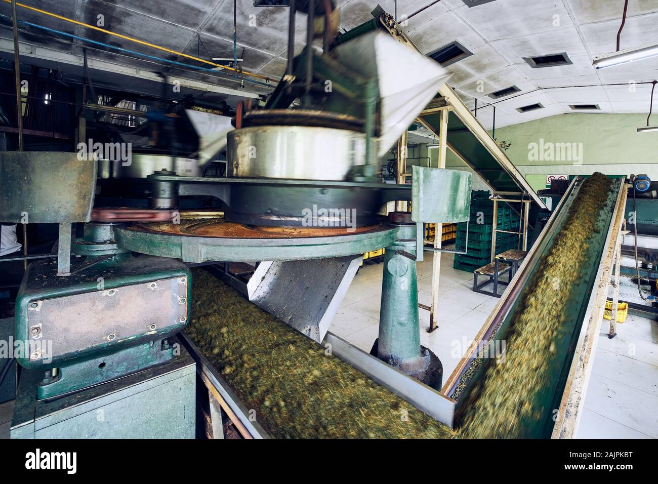 L'intérieur de la ligne de production, usine de thé de Sri Lanka. Banque D'Images