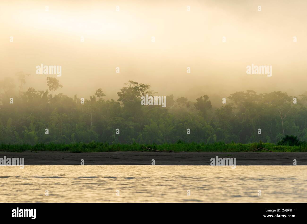 Lever du soleil au bord de la forêt tropicale amazonienne dans les pays du Brésil, de la Bolivie, de la Colombie, de l'Équateur, du Guyana, du Pérou, du Venezuela et du Suriname. Banque D'Images