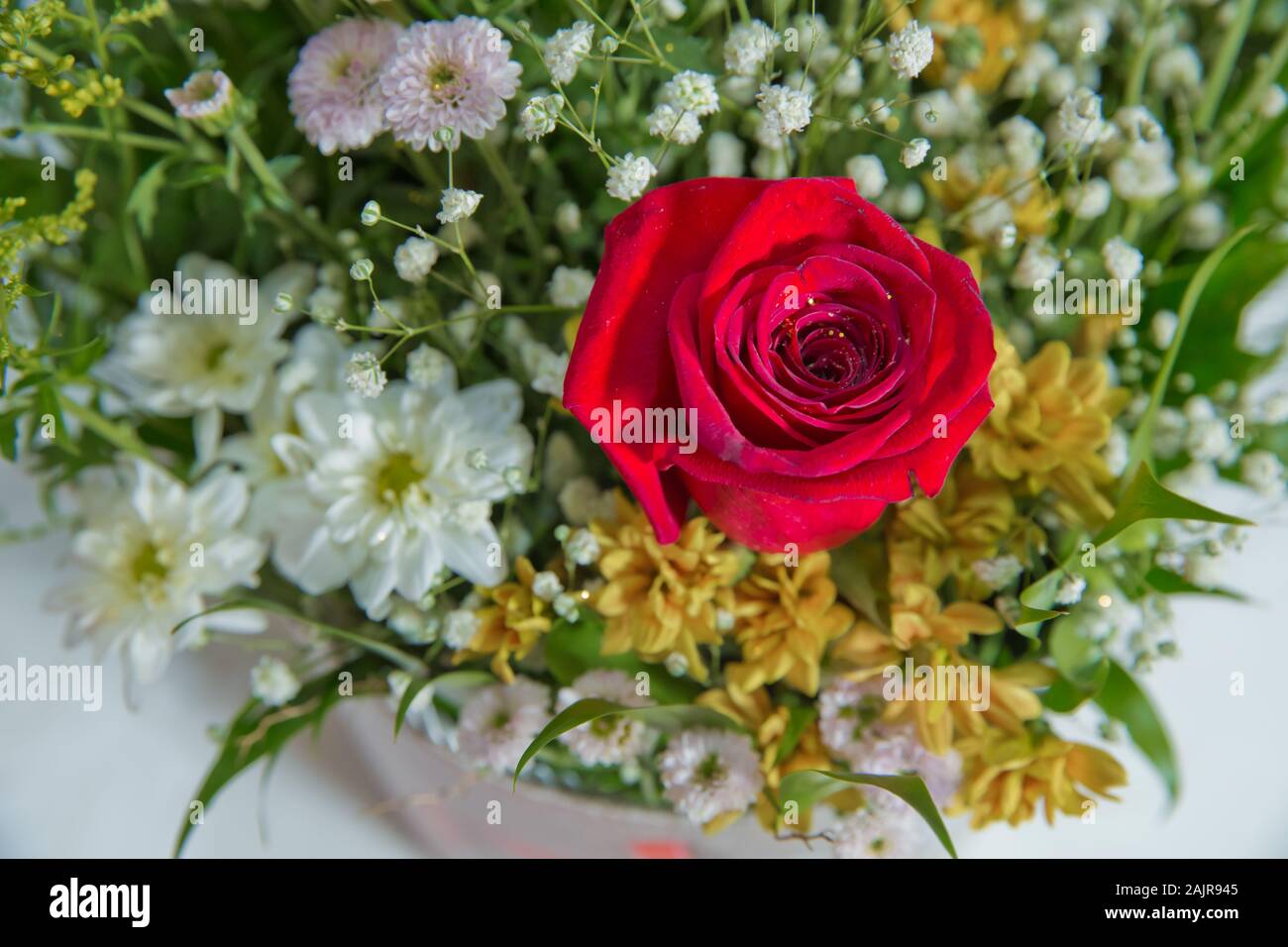Fleur rouge photo close up dans le bouquet. Le pétale de fleur . Bouquet de roses rouges fraîches . bouquet de roses rouges . Banque D'Images