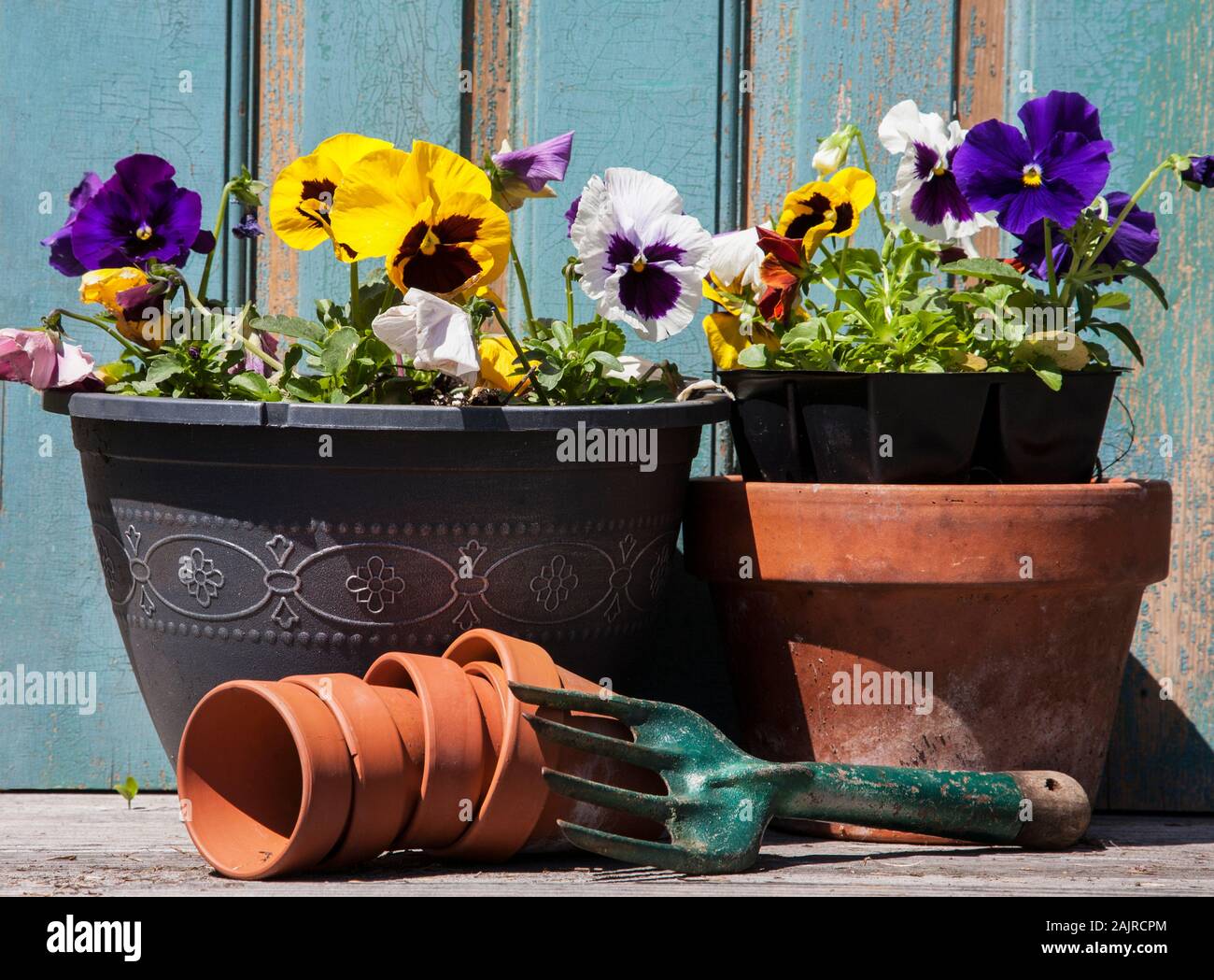 Plantation de printemps vintage, pots en terre cuite, fleurs de pansy, New Jersey, Etats-Unis, outils de jardin ressort conteneur porte outils de jardin vintage pansies en pots Banque D'Images