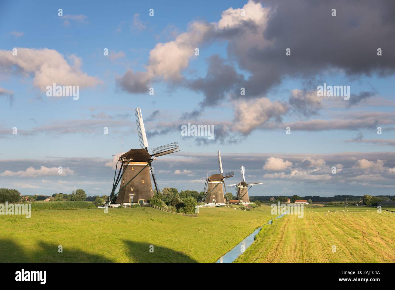 Trois moulins à vent dans une rangée, sous de grands nuages dans le ciel dans un paysage rural dans la campagne néerlandaise dans Leidschendam, Pays-Bas. Banque D'Images