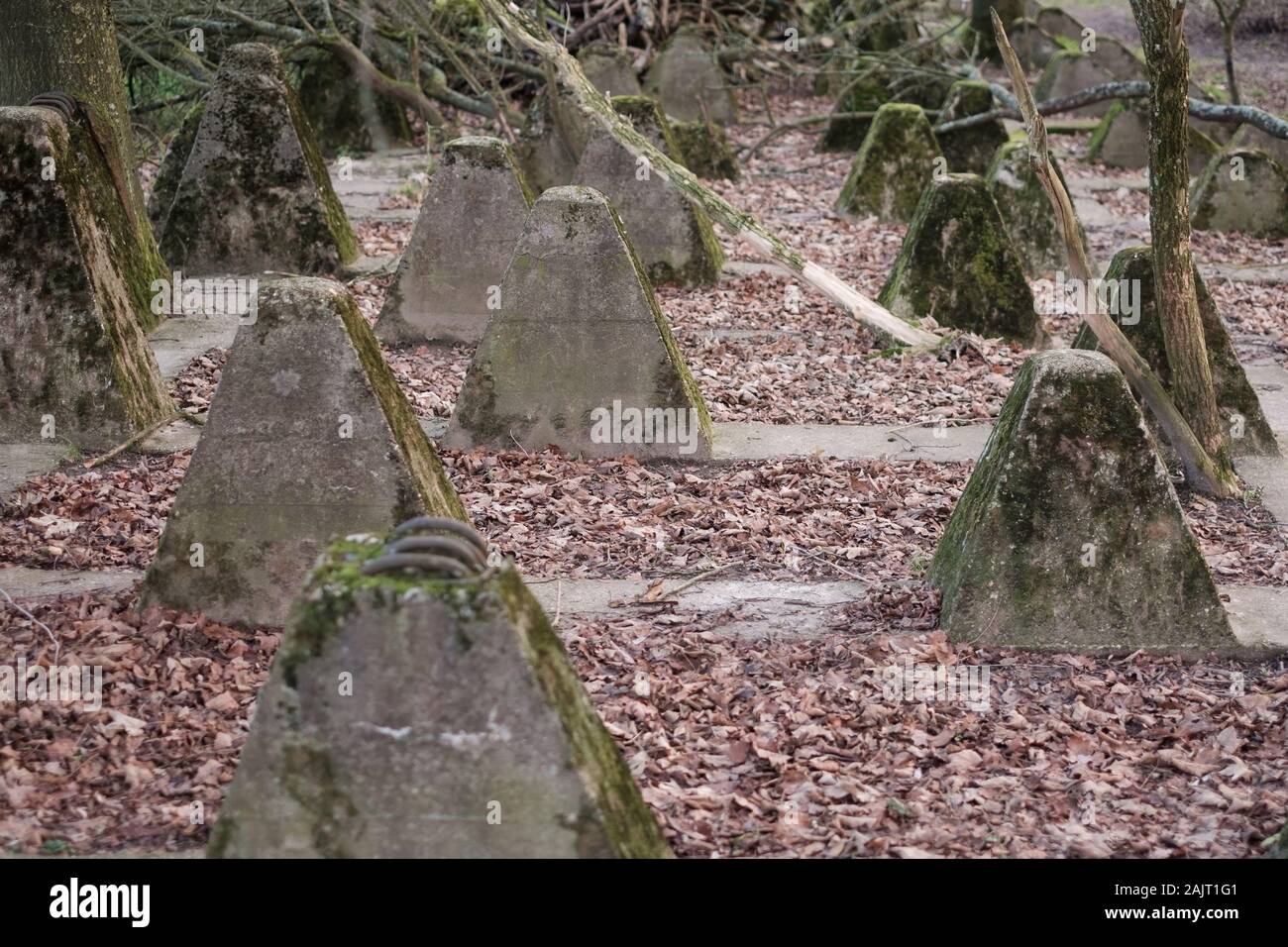 Dents antichars blocage dans la forêt de l'Europe. Des traces de Deuxième Guerre mondiale. Banque D'Images