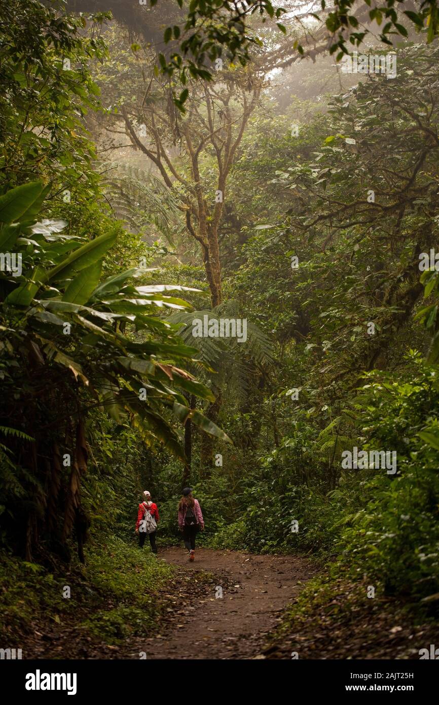 Monteverde,Puntarenas/Costa Rica-24 Janvier,2019:jeunes voyageurs randonnée dans la forêt de Monteverde Claude Banque D'Images