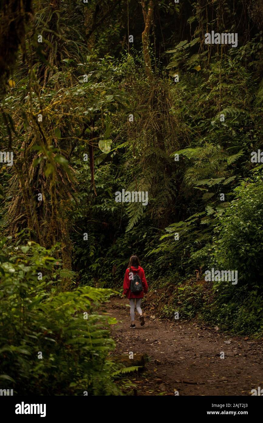 ,Monteverde Puntarenas Costa Rica/-24 janvier,2019:jeune voyageur randonnées à Monteverde Claude forêt avec un Fjallraven backpak pratique Kanken. Swedish Banque D'Images