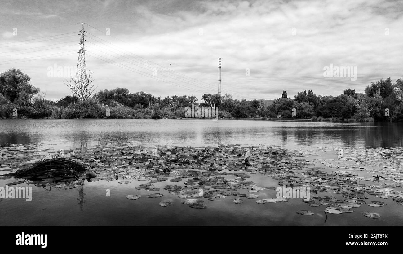 Étang de pêche près de la rivière Sava, Zagreb Banque D'Images
