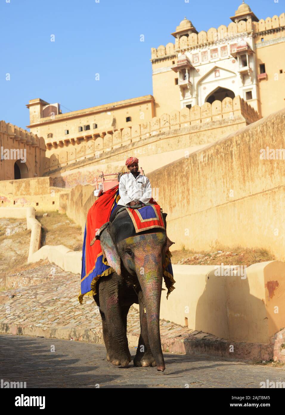 Un Mahut qui mène son éléphant sur la colline du fort Amber près de Jaipur, en Inde. Banque D'Images