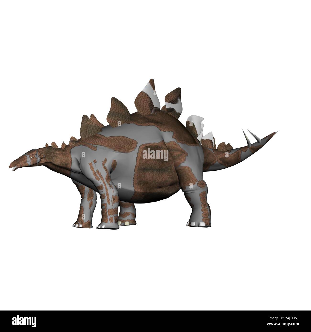 Illustration de dinosaure Stégosaure isolated over white Banque D'Images