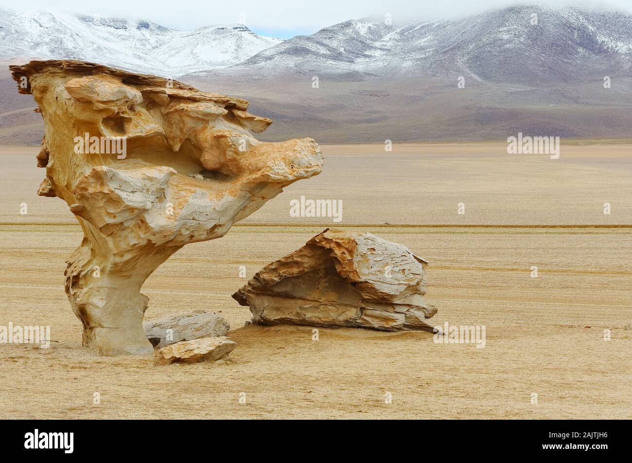 Arbre généalogique pierre est une formation rocheuse de la faune andine Eduardo Avaroa Réserve nationale,il projets sur l'altiplano de dunes de sable, à environ 18 km de la lagune. Banque D'Images