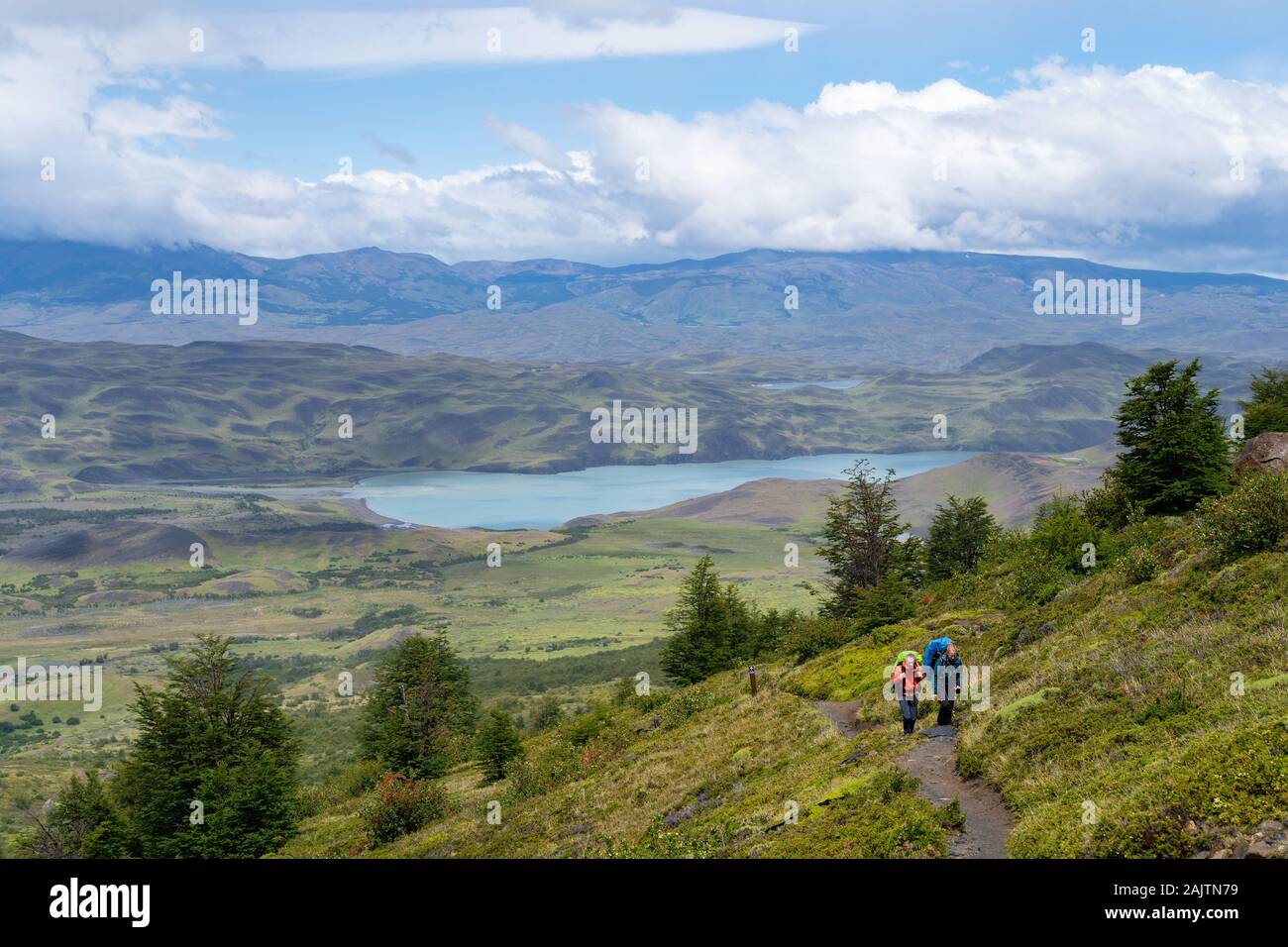 Randonneurs sur le célèbre W Trek dans le Parc National Torres del Paine en Patagonie, au Chili, en Amérique du Sud. Banque D'Images