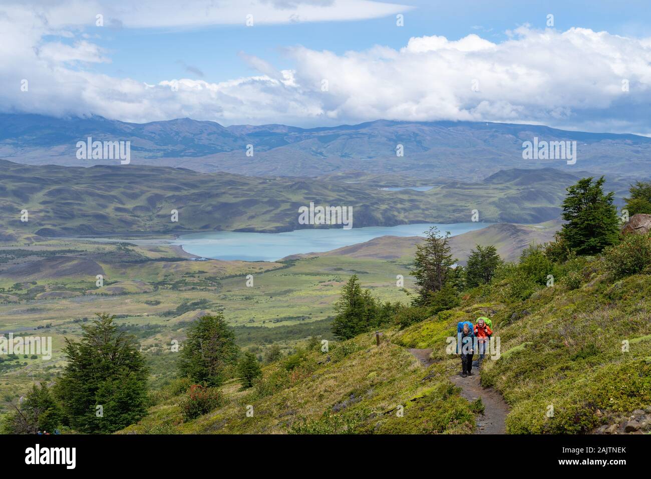 Randonneurs sur le célèbre W Trek dans le Parc National Torres del Paine en Patagonie, au Chili, en Amérique du Sud. Banque D'Images