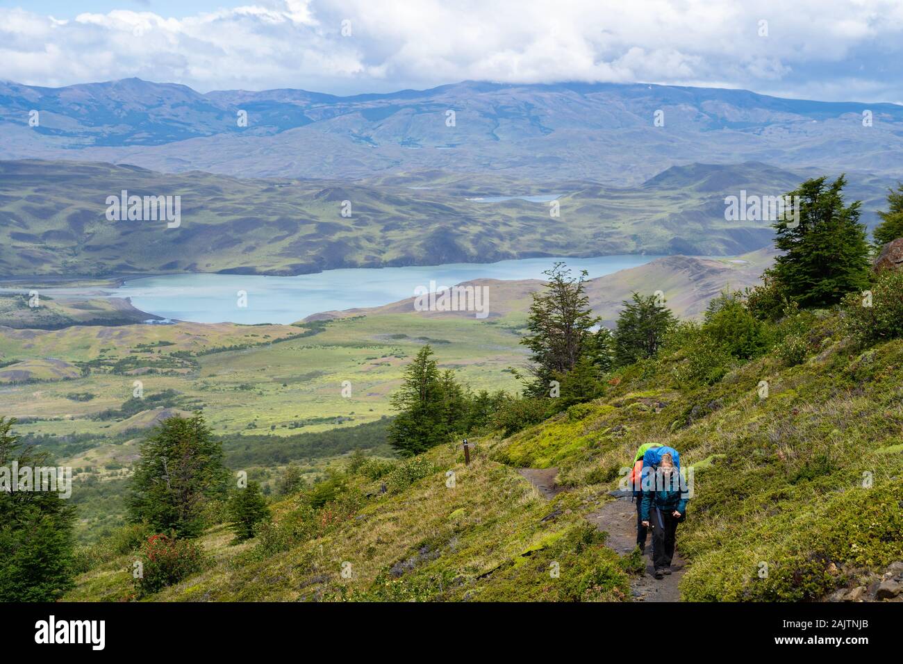Randonneurs sur le célèbre W Trek dans le Parc National Torres del Paine en Patagonie, au Chili, en Amérique du Sud. Banque D'Images