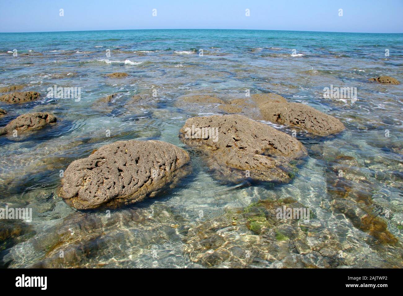 Les mares et les formations rocheuses de Coral Cove Park à Tequesta, Floride, à l'extrême la marée basse sur l'après-midi calme clair. Banque D'Images