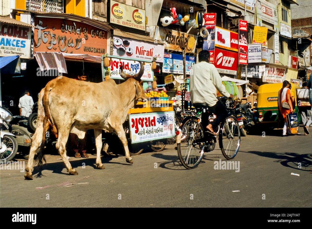 Des vaches sacrées sont respectés dans les rues de l'Inde Banque D'Images