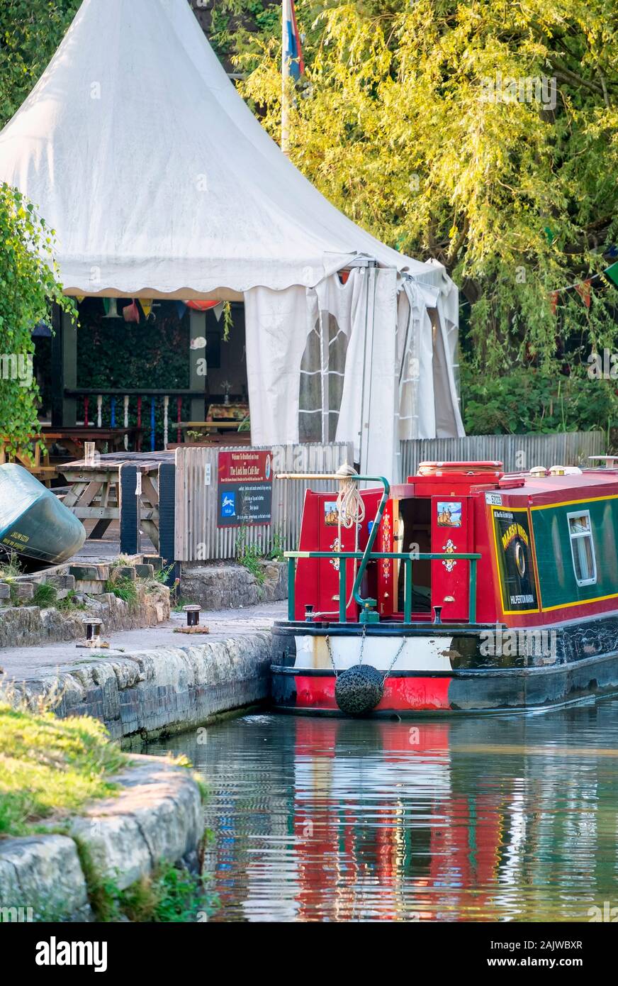 Coquelicots rouges sauvages et de bleuet bleu UK Banque D'Images