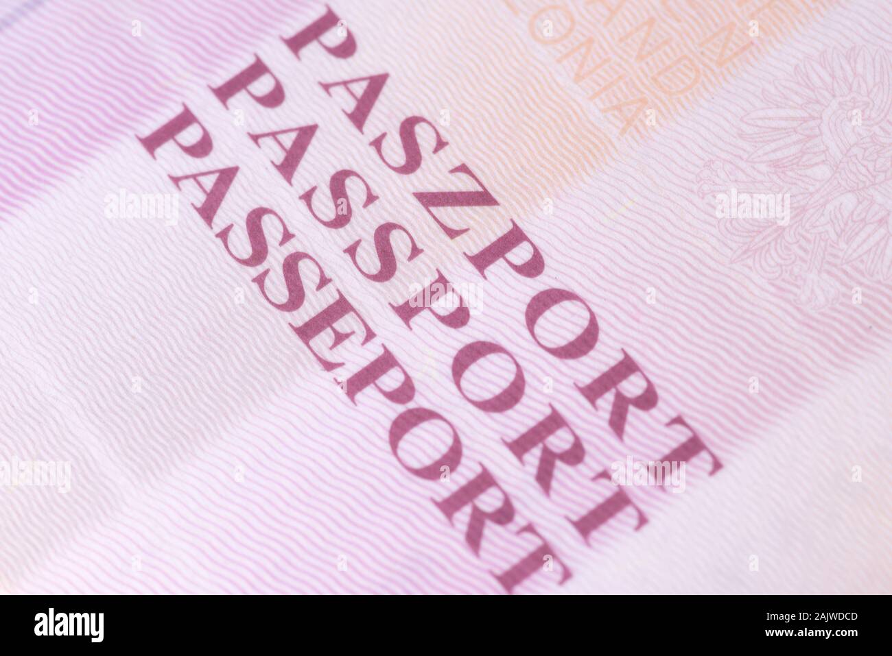 Un passeport polonais Banque D'Images