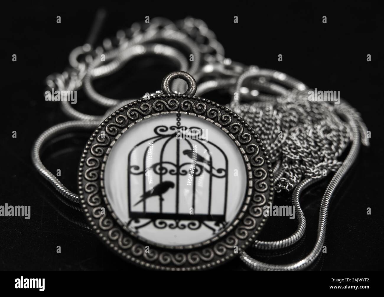 Grodzisk Mazowiecki. La Pologne. 2020. Séance photo du produit. Banque D'Images