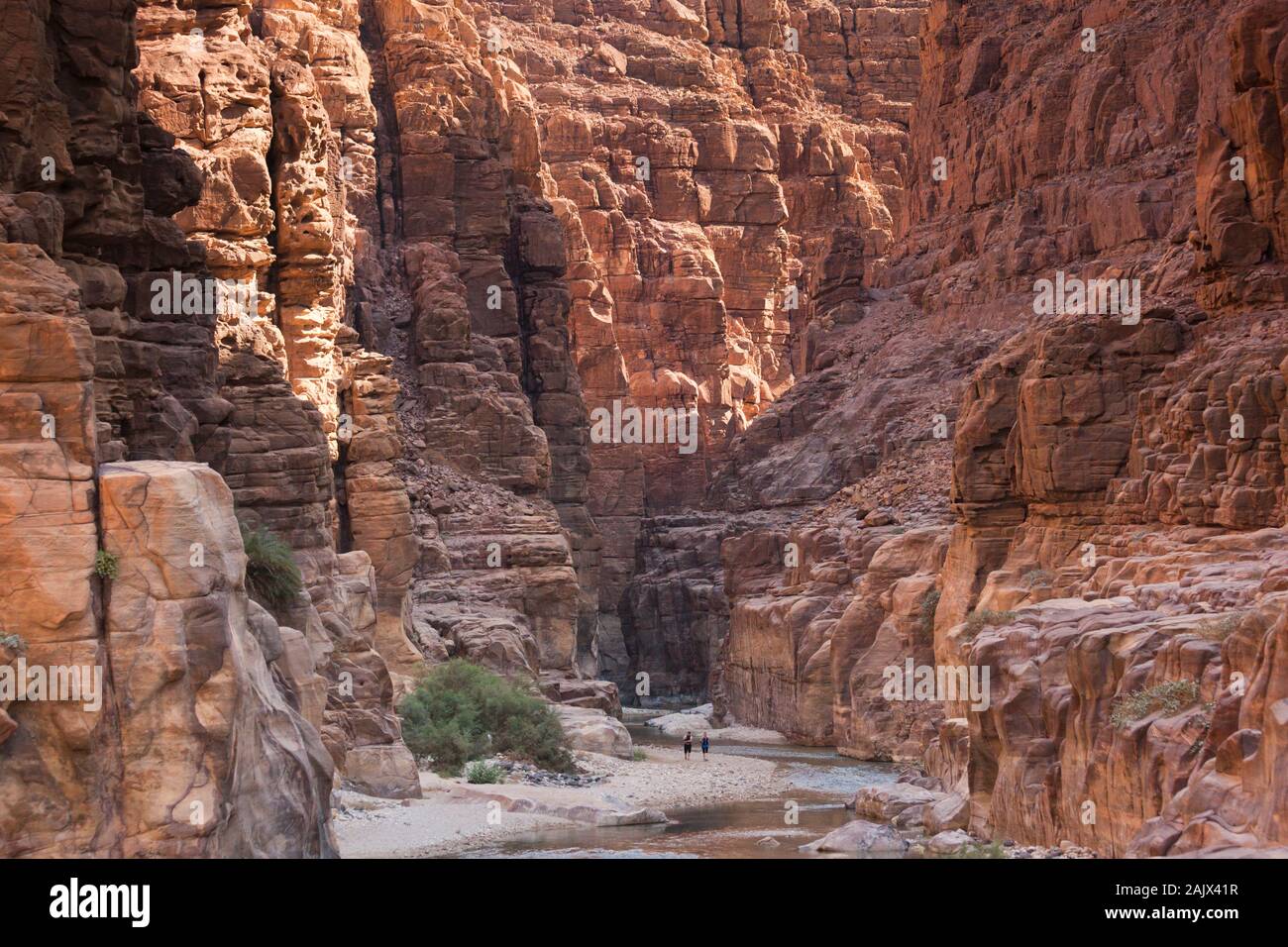 Réserve Al Mujib, Wadi Mujib, vue magnifique sur la vallée, Madaba, High, Jordanie, Moyen-Orient, Asie Banque D'Images