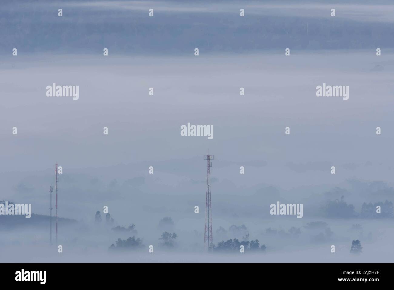 Les poteaux de téléphone et les arbres dans la brume du matin. Banque D'Images