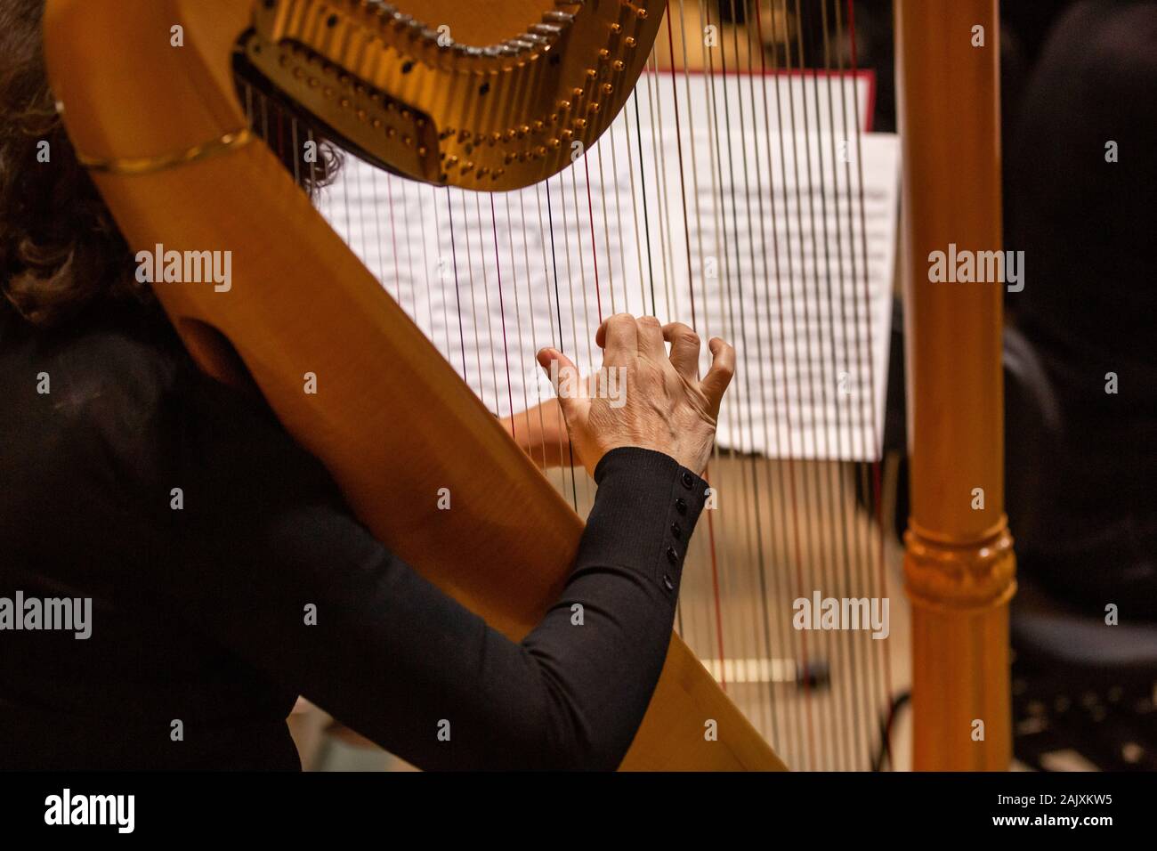 Détail de l'orchestre, philharmoic joueur de jouer à l'harmonica au cours d'immenses philharmonic concert Banque D'Images