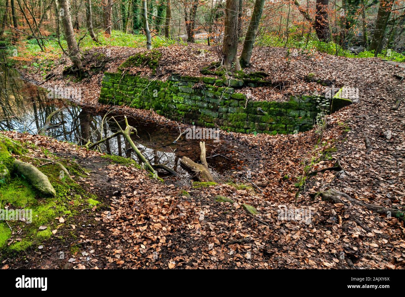 Vieux goit abandonné d'un moulin à côté de la rivière Don à Beeley Wood, ancienne forêt près de Sheffield. Banque D'Images