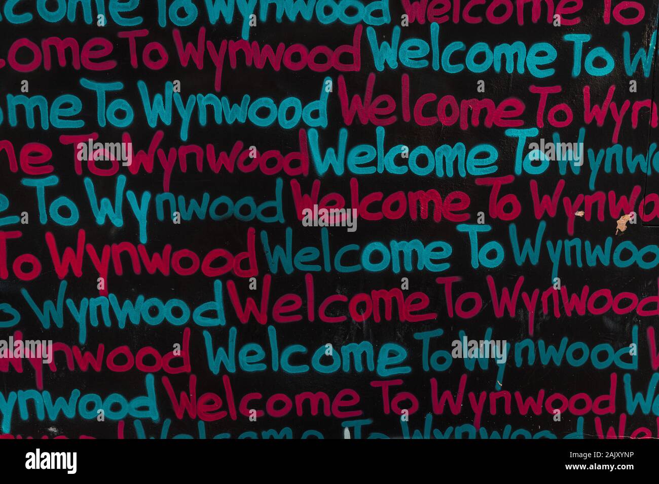 Exploration de la graffitis dans le quartier hipster Wynwood de Miami avec ses murs Wynwood (Miami, Floride, États-Unis) Banque D'Images