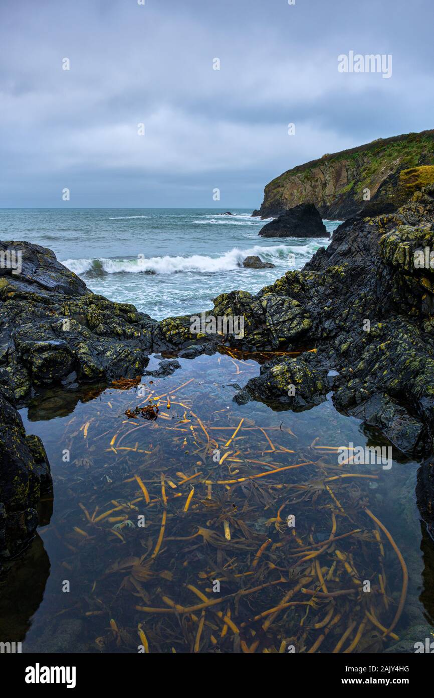 Aberfelin LLanrhian, bay, Pembrokeshire. Pays de Galles Banque D'Images