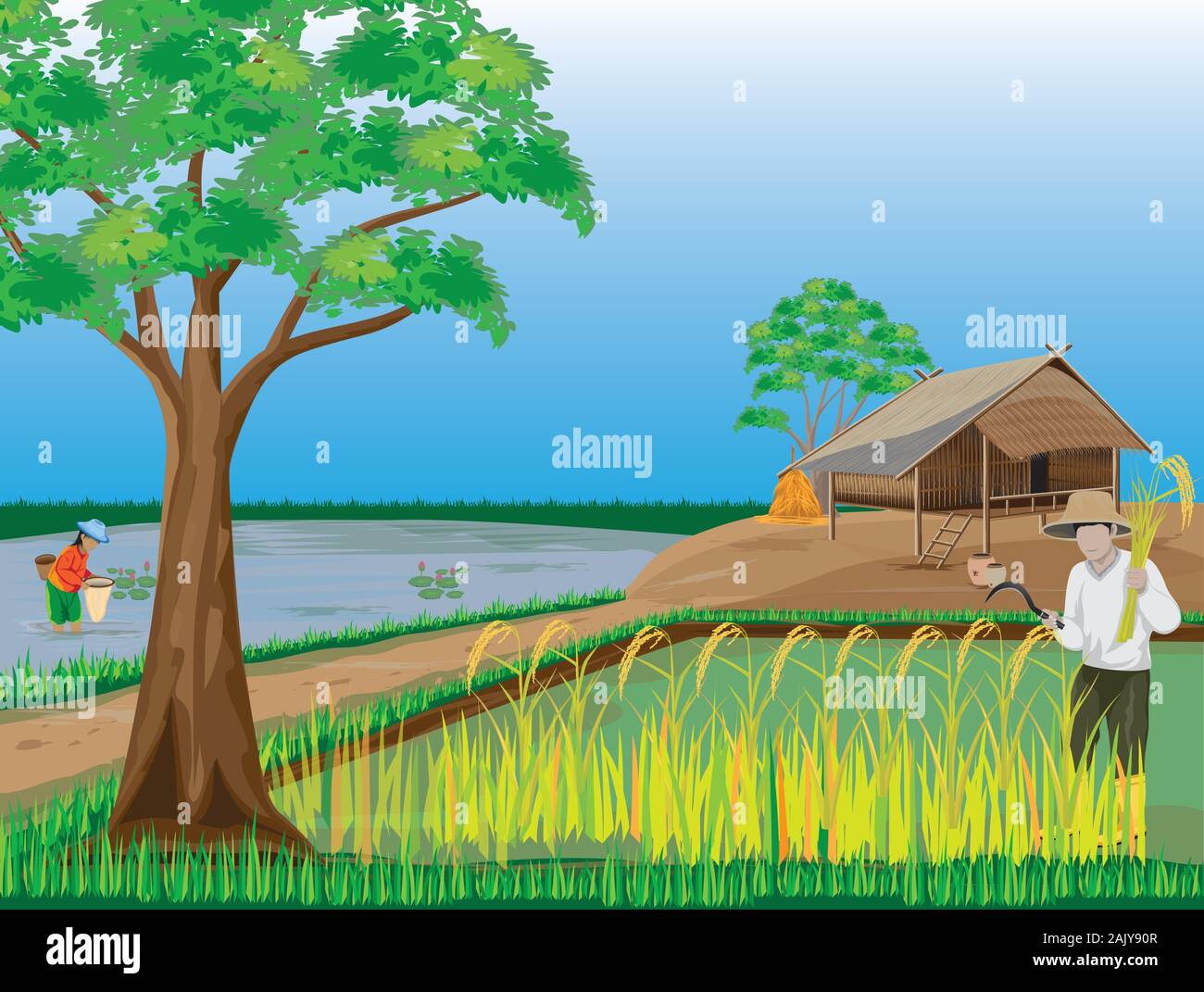 La récolte de paddy en riz agriculteur vecteur conception champ Illustration de Vecteur