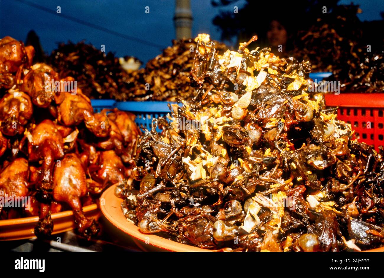 Les insectes frits sont delicassies pour personnes à Pnom Penh Banque D'Images