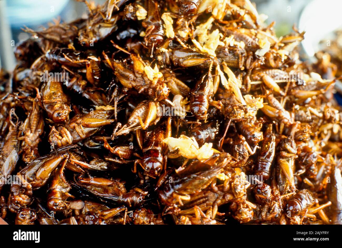 Les insectes frits sont delicassies pour personnes à Pnom Penh Banque D'Images