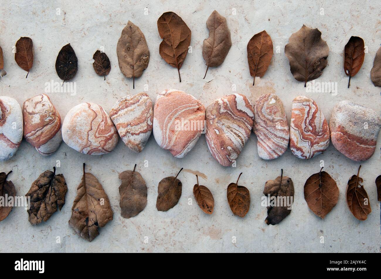 Toujours la vie Photographie de feuilles tombées, grès rouge et la ligne d'un bâton organique. Banque D'Images
