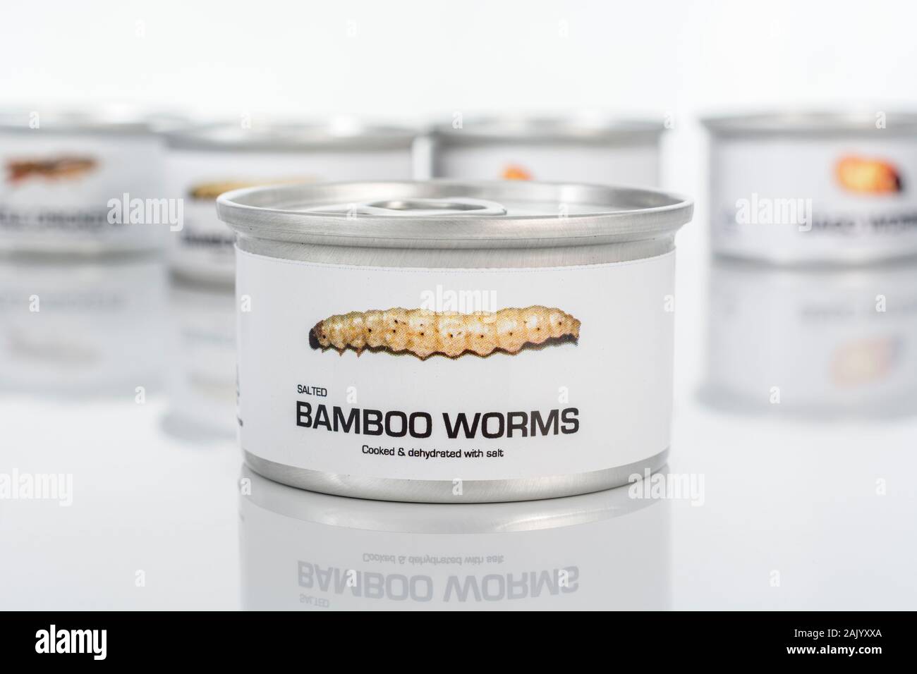 Tin des insectes comestibles / nouveauté - alimentaire / Omphisa fuscidentalis vers de bambou. Concept d'insectes comme nourriture humaine, l'entomophagie, manger bugs insectes. Banque D'Images