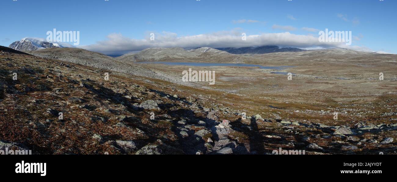 Dovrefjell paysage près de Snohetta - Norvège Banque D'Images