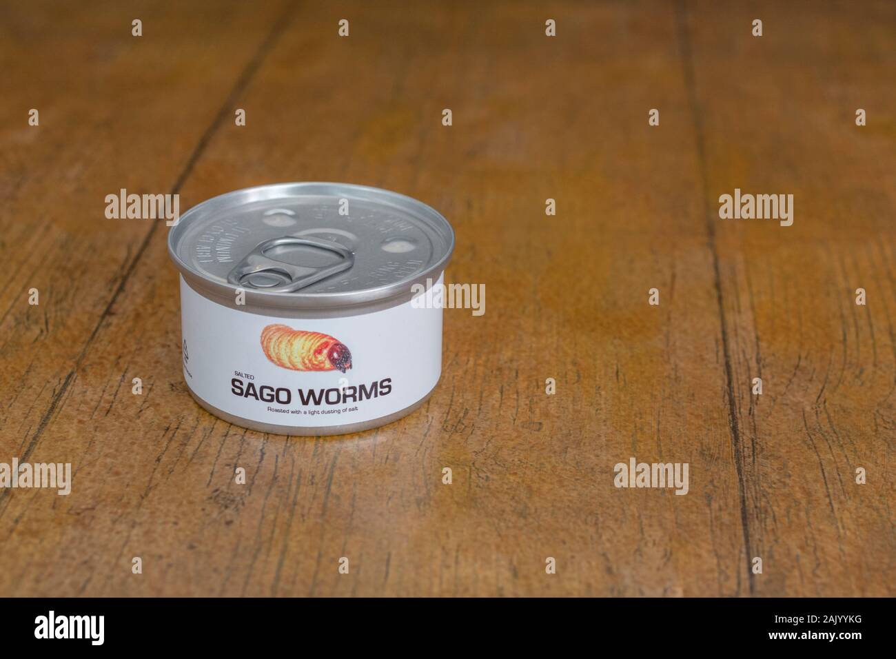 Tin des insectes comestibles / nouveauté - alimentaire vers / Rhyncophorus ferrugineus sagou. Concept d'insectes comme nourriture humaine, l'entomophagie, manger bugs insectes. Banque D'Images