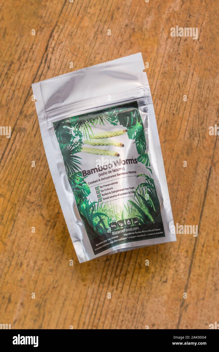 Pack d'insectes comestibles / nouveauté - alimentaire / Omphisa fuscidentalis vers de bambou. Concept d'insectes comme nourriture humaine, l'entomophagie, manger bugs, snack-insectes Banque D'Images