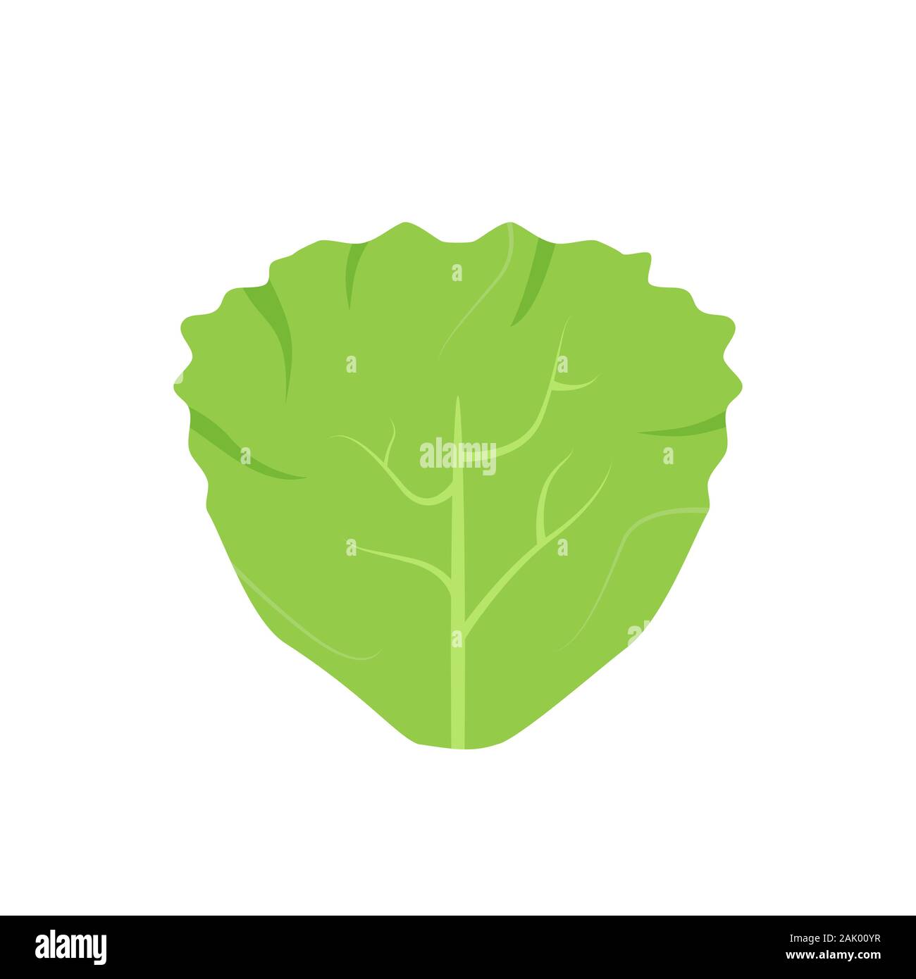 La laitue ou feuille de chou vert. L'icône de la feuille de salade isolé sur fond blanc. Les légumes verts. L'icône de feuille de chou. Saine alimentation légumes biologiques Illustration de Vecteur