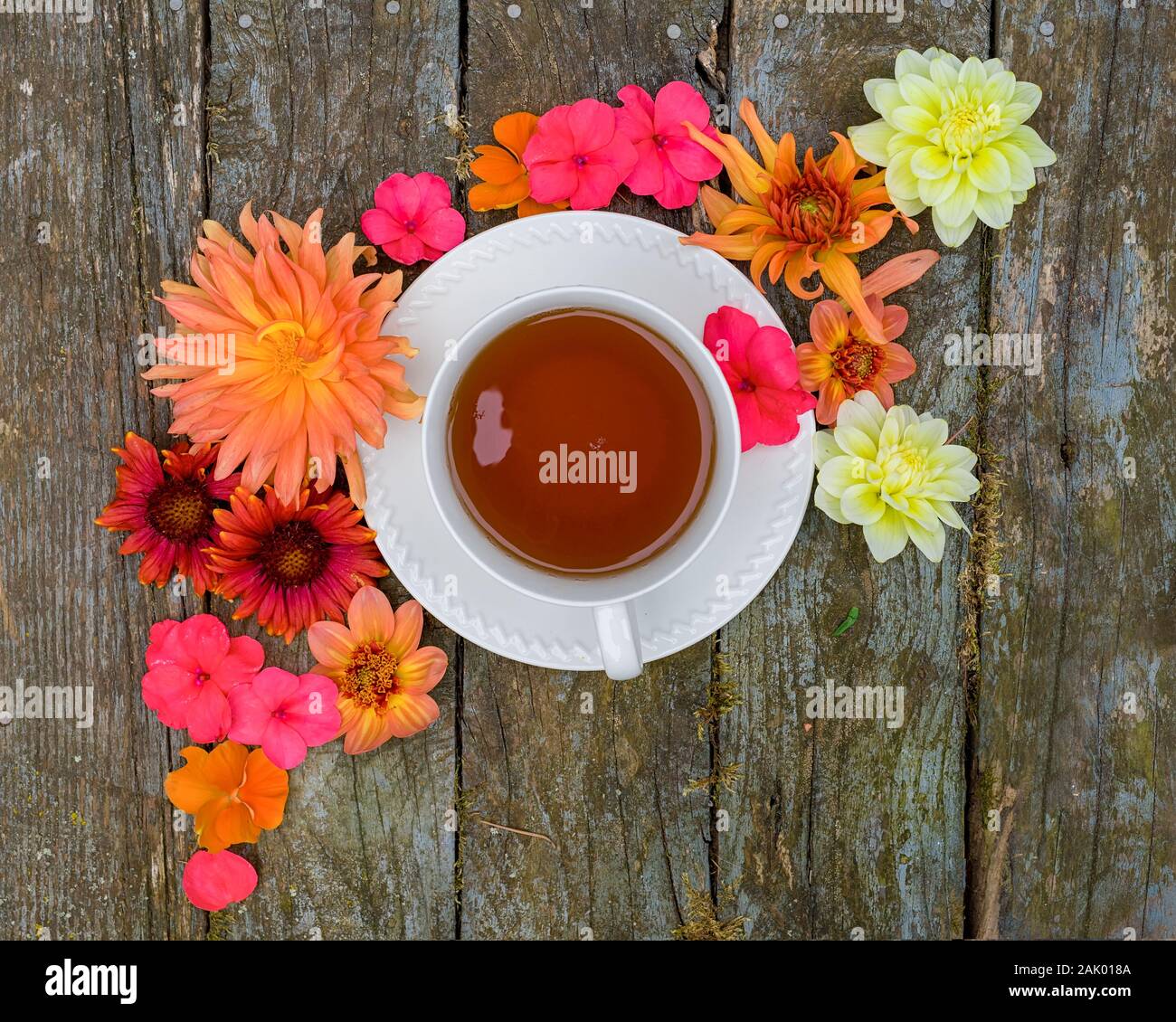 Une tasse de thé avec dahlia, impatiens et gaillardia fleurs. Banque D'Images