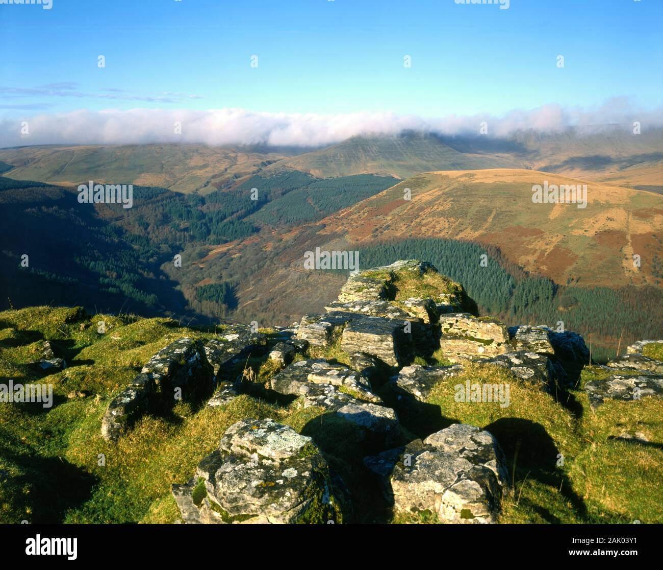 Vue de l'Bryniau Gleision, près de Talybont, parc national de Brecon Beacons, Powys, Pays de Galles. Banque D'Images